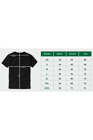 TÜRK BAYRAK BASKILI TİŞÖRT 